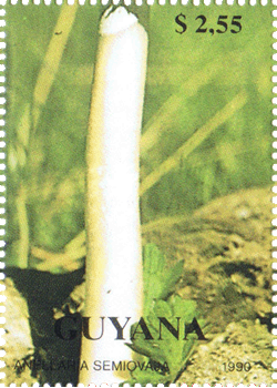 Briefmarke