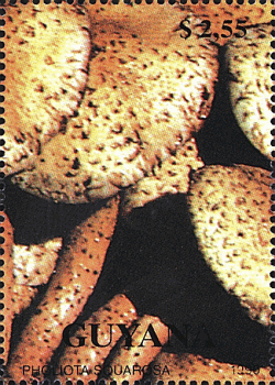 Briefmarke