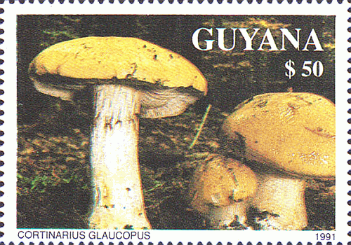 Briefmarke