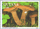 Briefmarke
