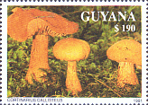 Briefmarke