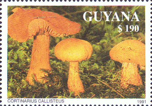 Briefmarke