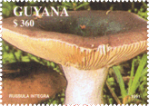 Briefmarke