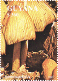 Briefmarke