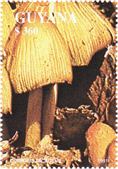 Briefmarke