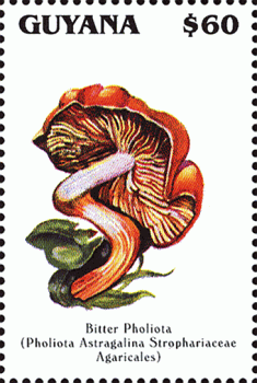 Briefmarke