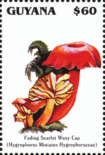 Briefmarke