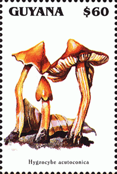 Briefmarke