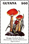 Briefmarke
