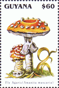 Briefmarke