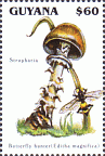 Briefmarke