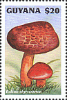 Briefmarke