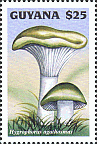 Briefmarke