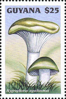 Briefmarke