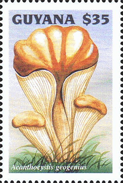Briefmarke