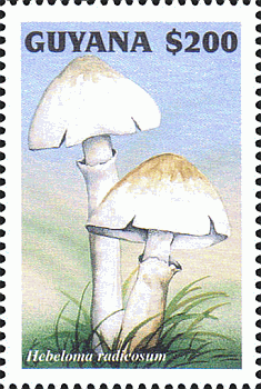 Briefmarke