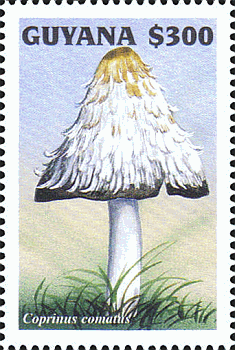 Briefmarke
