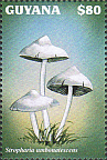 Briefmarke