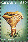 Briefmarke