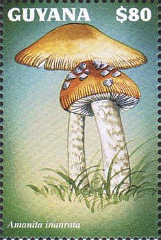 Briefmarke