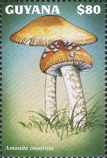 Briefmarke