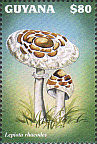 Briefmarke