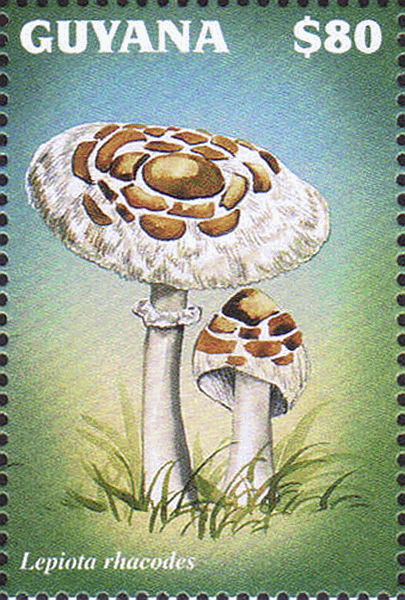 Briefmarke