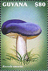 Briefmarke