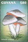 Briefmarke