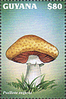 Briefmarke