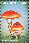 Briefmarke