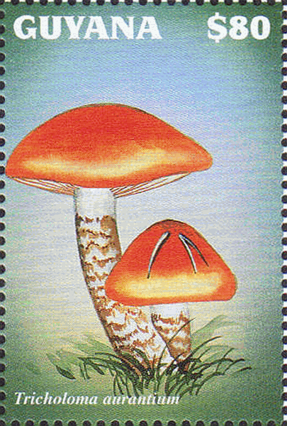 Briefmarke