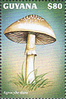 Briefmarke