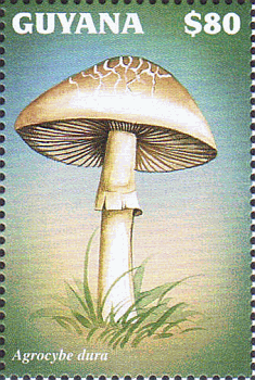 Briefmarke
