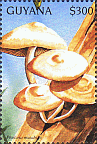 Briefmarke