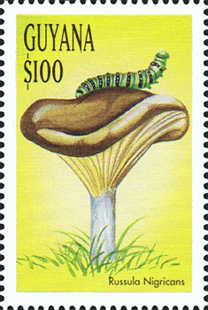 Briefmarke