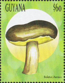 Briefmarke