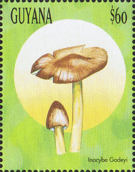 Briefmarke