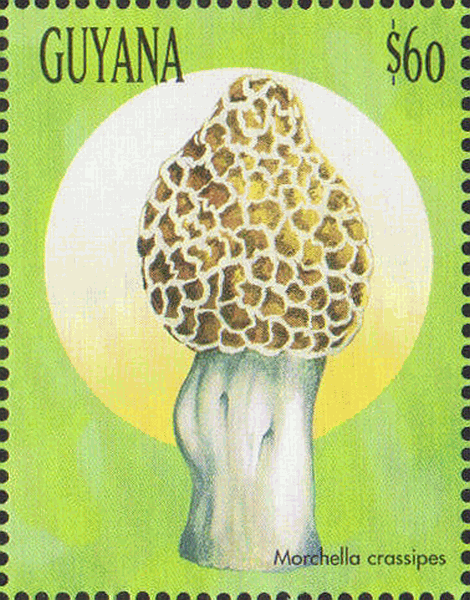 Briefmarke