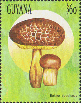 Briefmarke