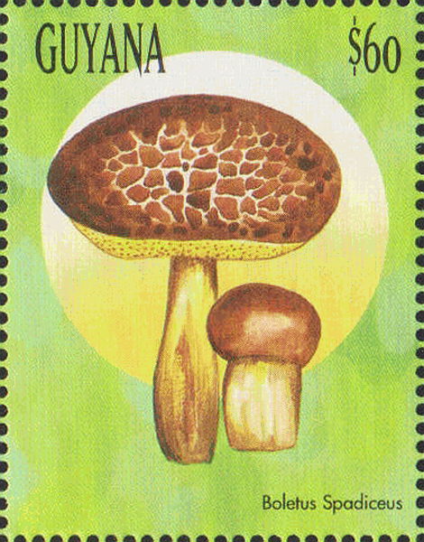 Briefmarke