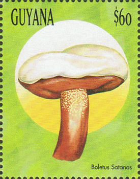 Briefmarke
