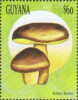 Briefmarke