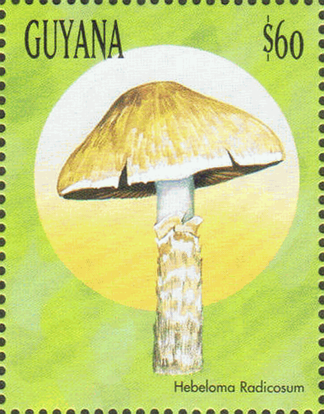 Briefmarke