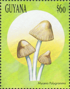 Briefmarke