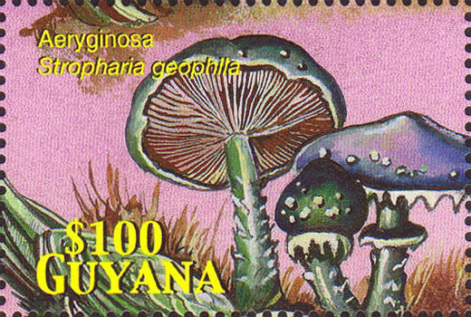 Briefmarke