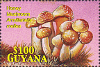 Briefmarke