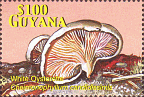 Briefmarke