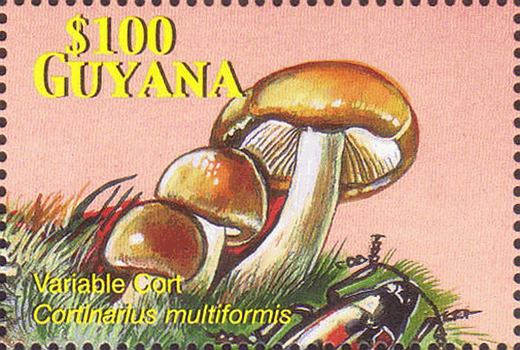Briefmarke