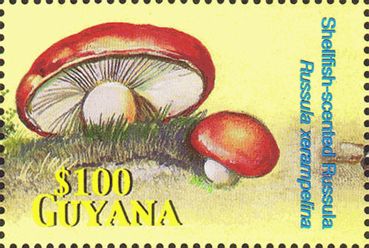 Briefmarke